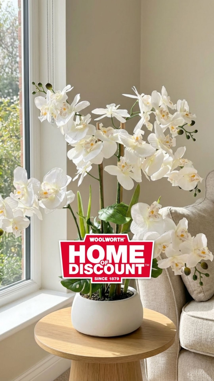 🌸✨ Eleganz für dein Zuhause! ✨🌸, Diese stilvolle Orchidee bringt mit ihren zarten Blüten eine ruhige und edle Atmosphäre in jeden Raum. Perfekt als Blickfang auf Tisch, Fensterbank oder Sideboard –