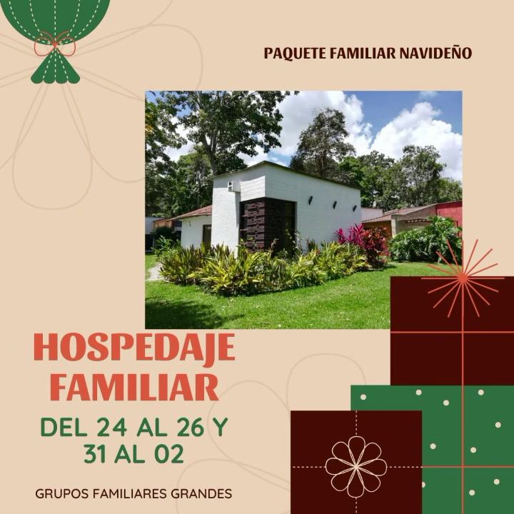Desean pasar una navidad o un año nuevo diferente con su grupo familiar ...