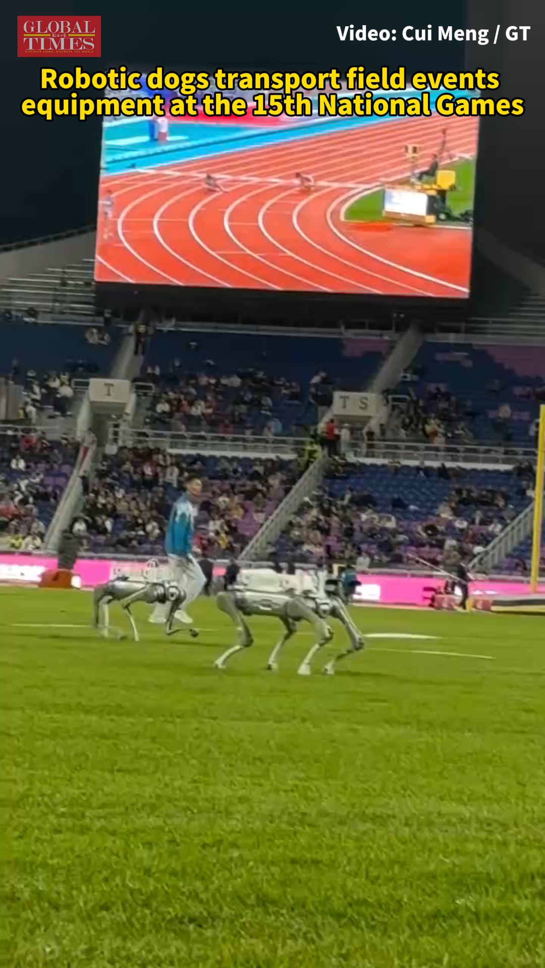 At the 15th National Games' athletics venue, robotic dogs have become ...