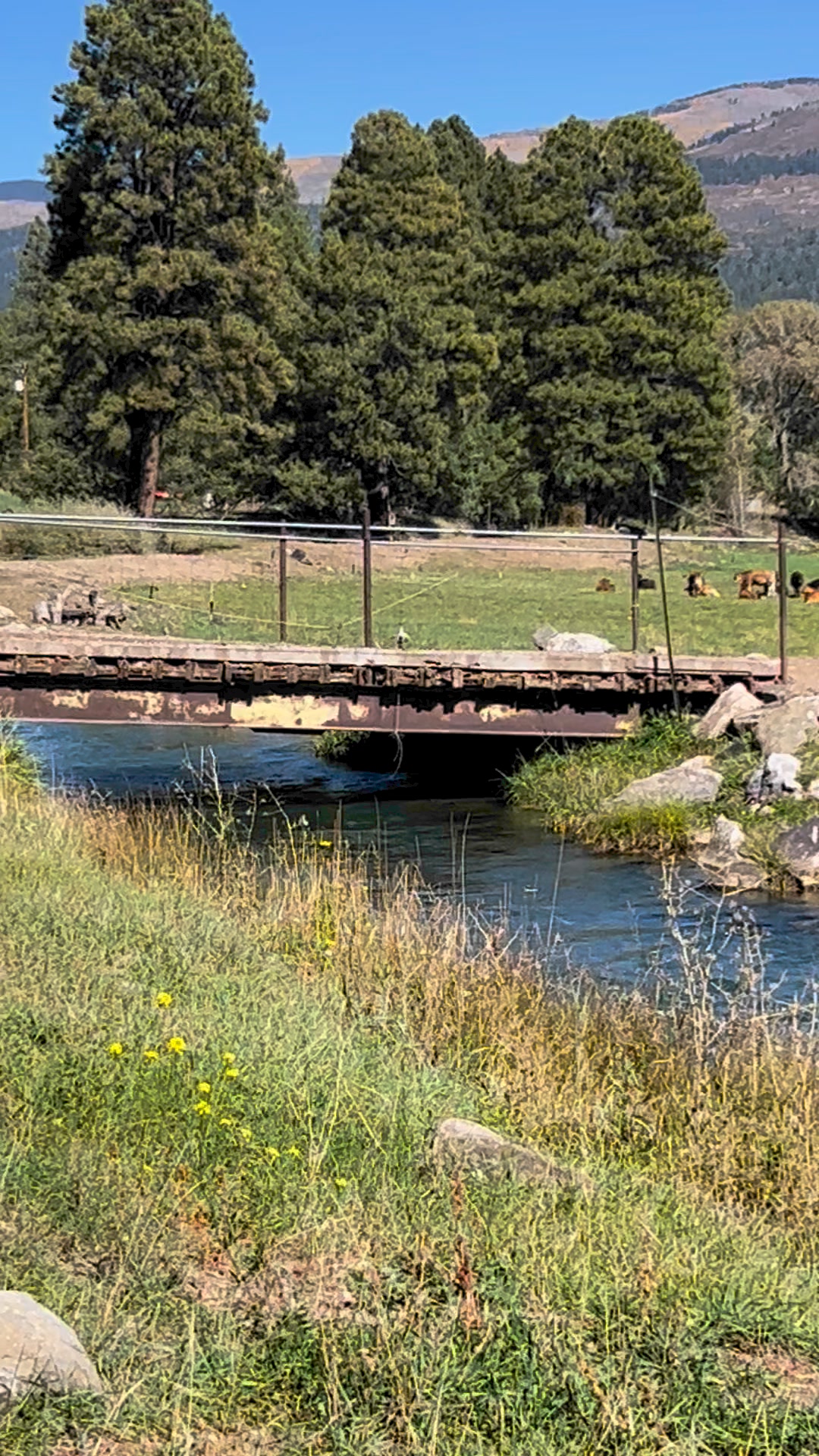 James Ranch Durango, CO organic farming | Juliann Matt Schleuder | Facebook