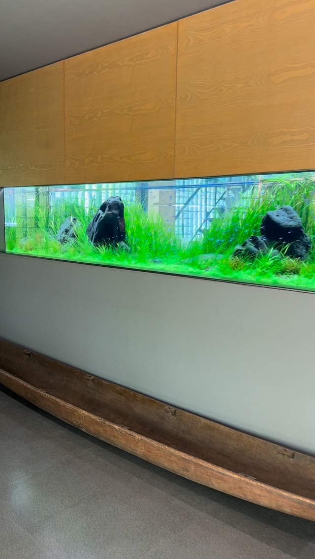 🐟🌱I am going to take you on a virtual tour of some of my