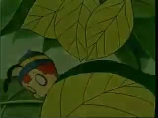 Perfil de Info Anime