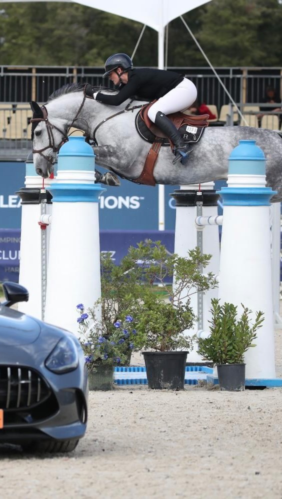📹 Watch Good Star du Bary jump an phenomenal clear in last