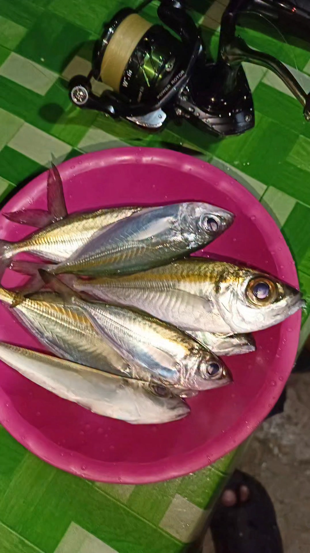 effective sa tamarong o matambaka #fishing #tamarong #fishing # ...