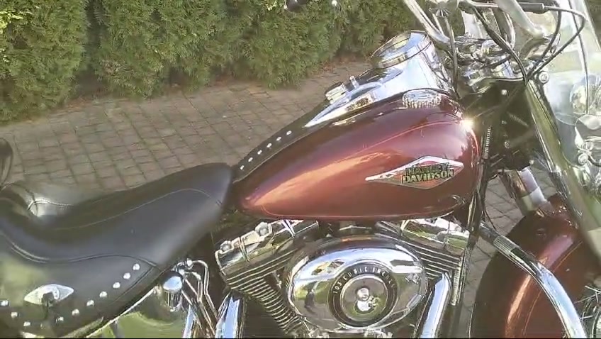 Introducing the beautiful orange Chopper for sale - Saxon Warlord