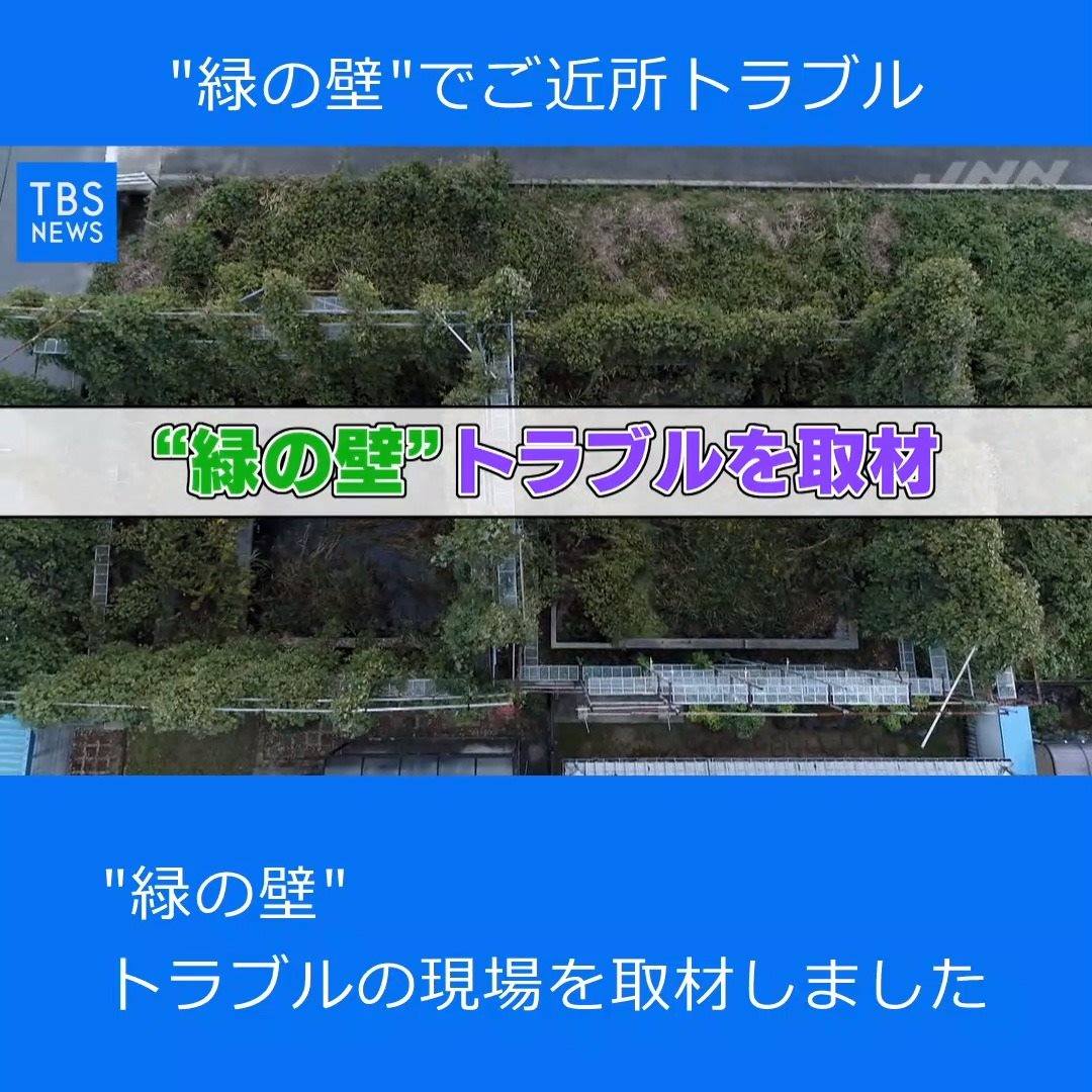 Nスタ545： “緑の壁”でご近所トラブル | TBS NEWS DIG Powered by JNN