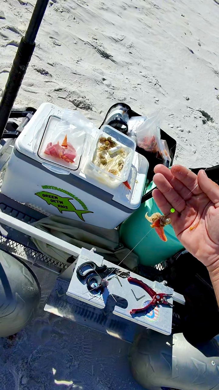 This Is How I Bait My Pompano Rig for Consistent Results! 🪝🦐🍭 #fyp # ...