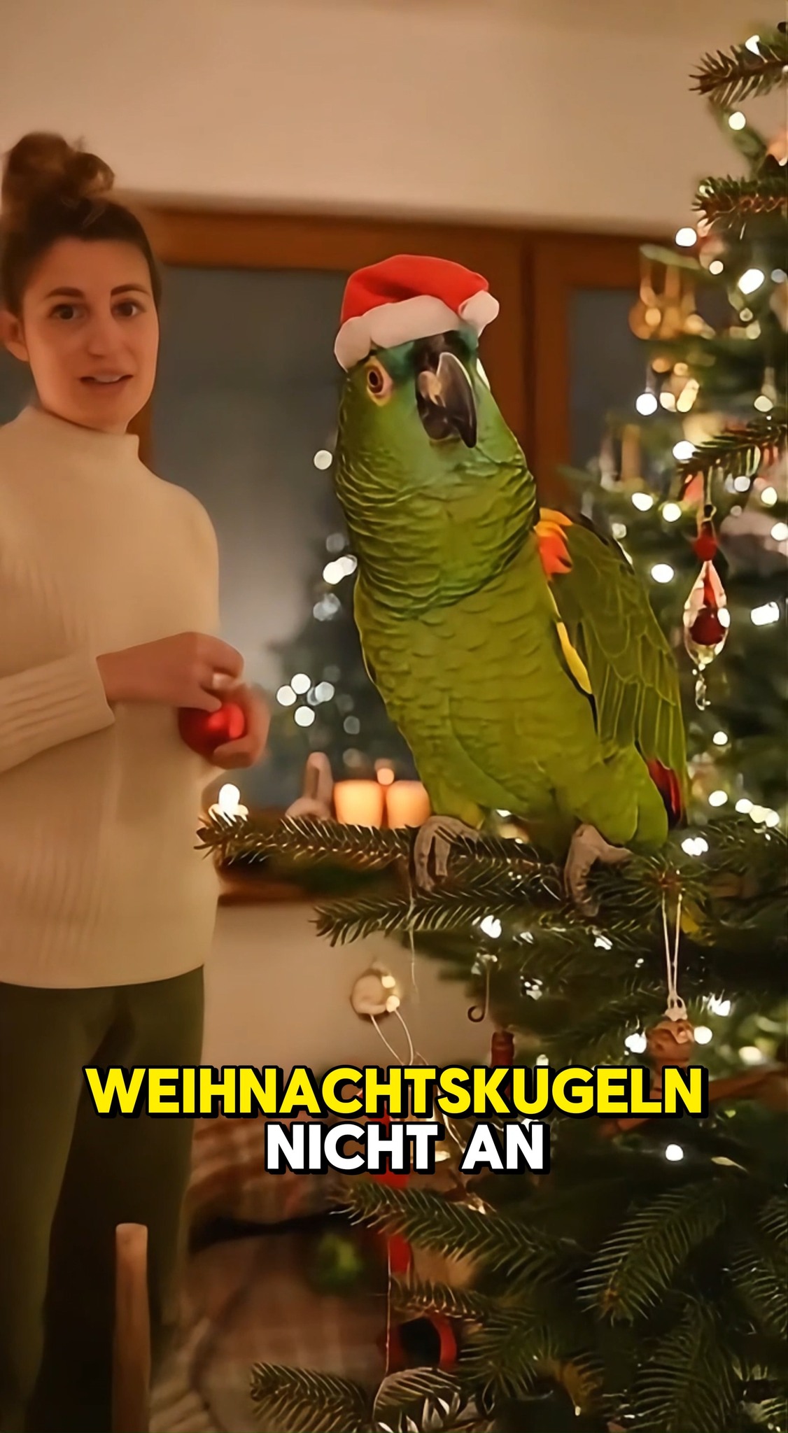 Vogel Fur Den Weihnachtsbaum 1