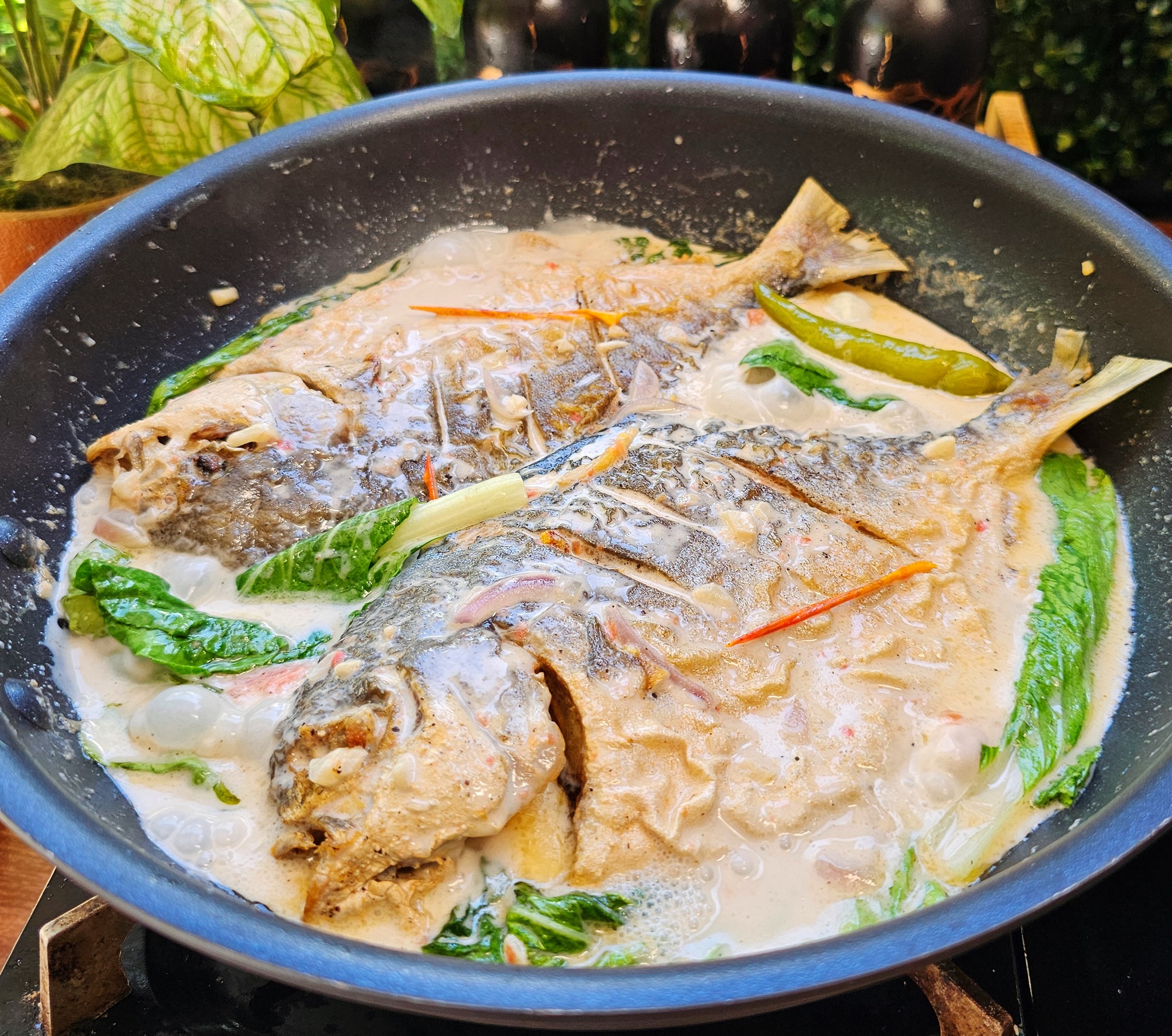 Ginataang Pompano | Yummy Kitchen | Facebook