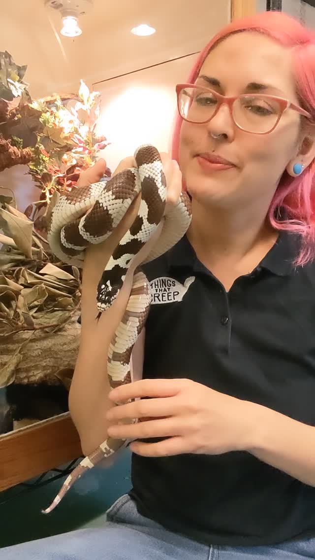 Join us for SNAKE WEEK! Free community snake event July 12th at