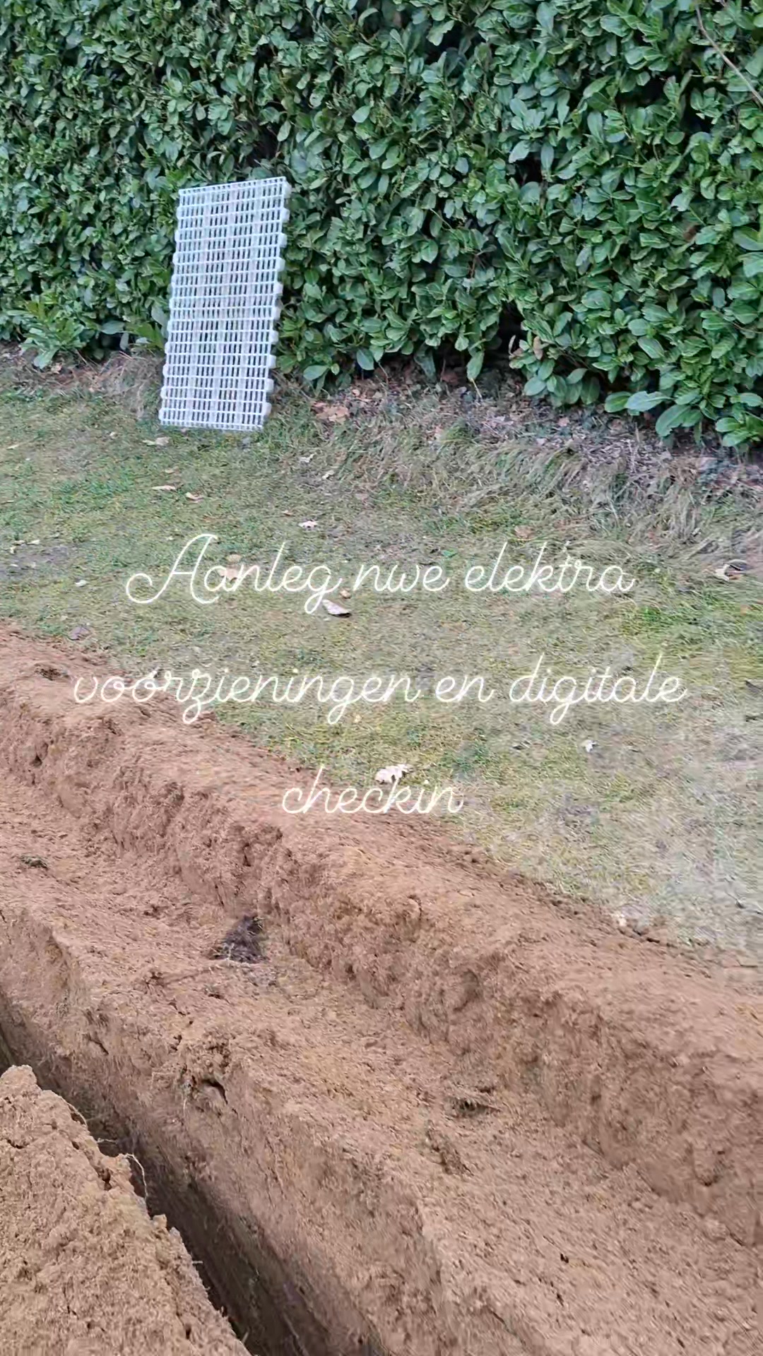 lola hngematte Kolumbiana Mango Tuchhngematte  Lola Hngemattenshop