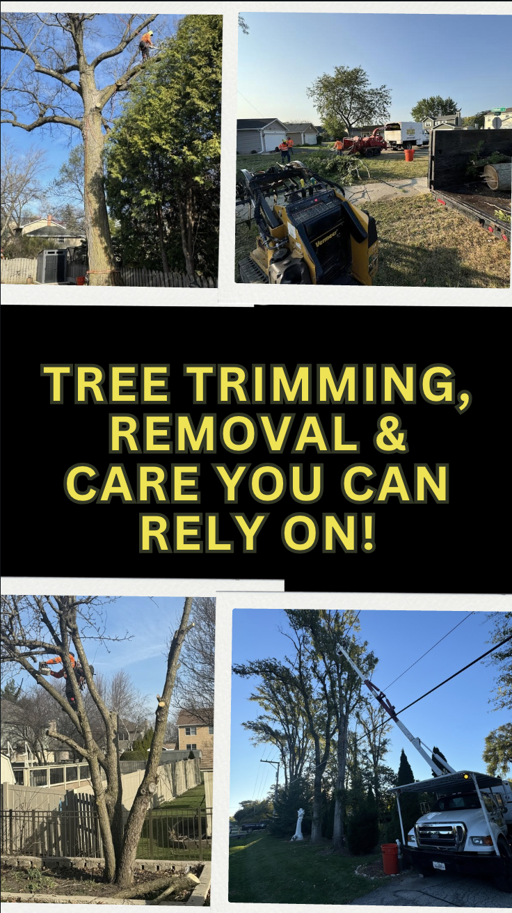 Super Star Tree Service Inc | West Chicago IL