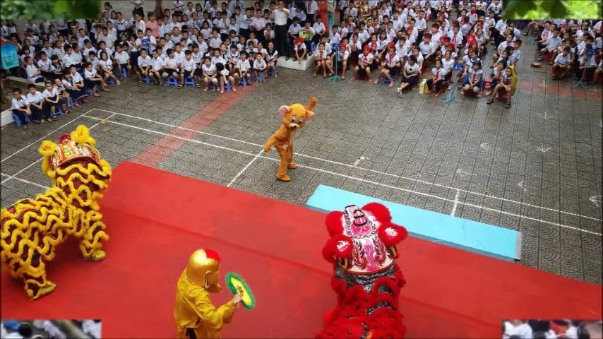 Trường Tiểu học Nguyễn Tri Phương-Đà Nẵng - Một số hình ...