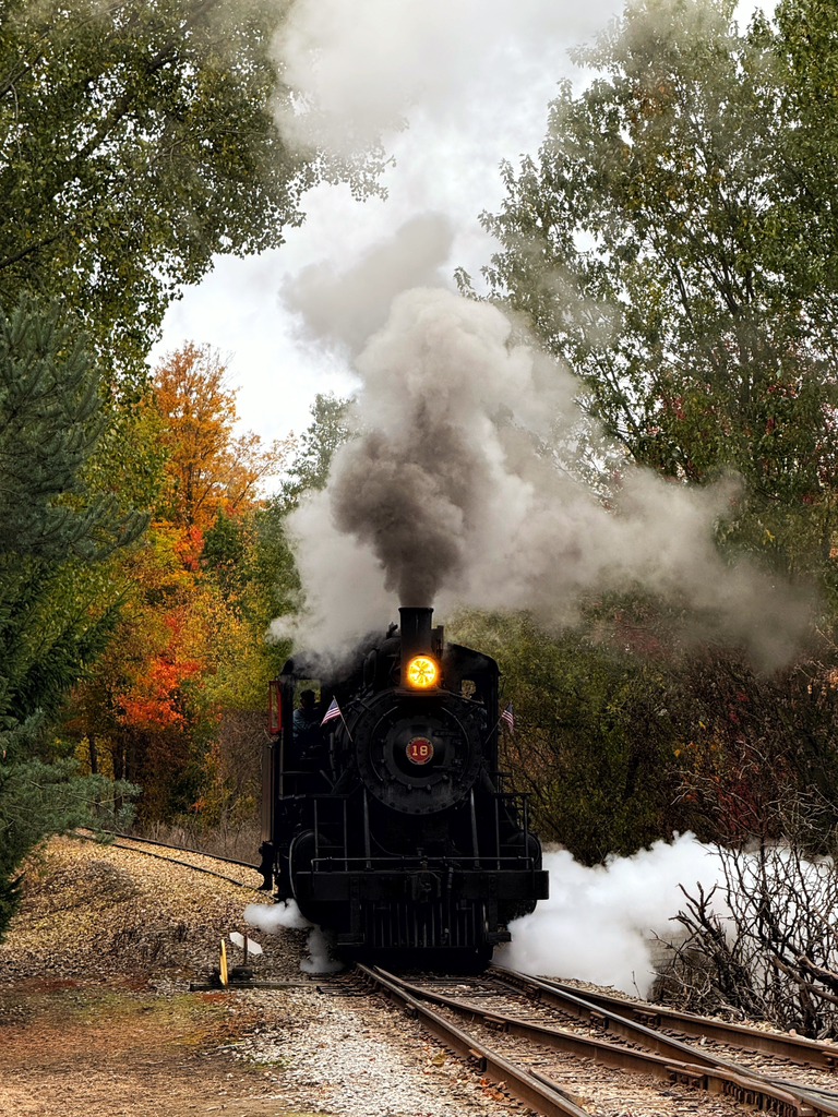 All aboard for a ride back in time! 🚂 The Arcade & Attica Railroad’s ...