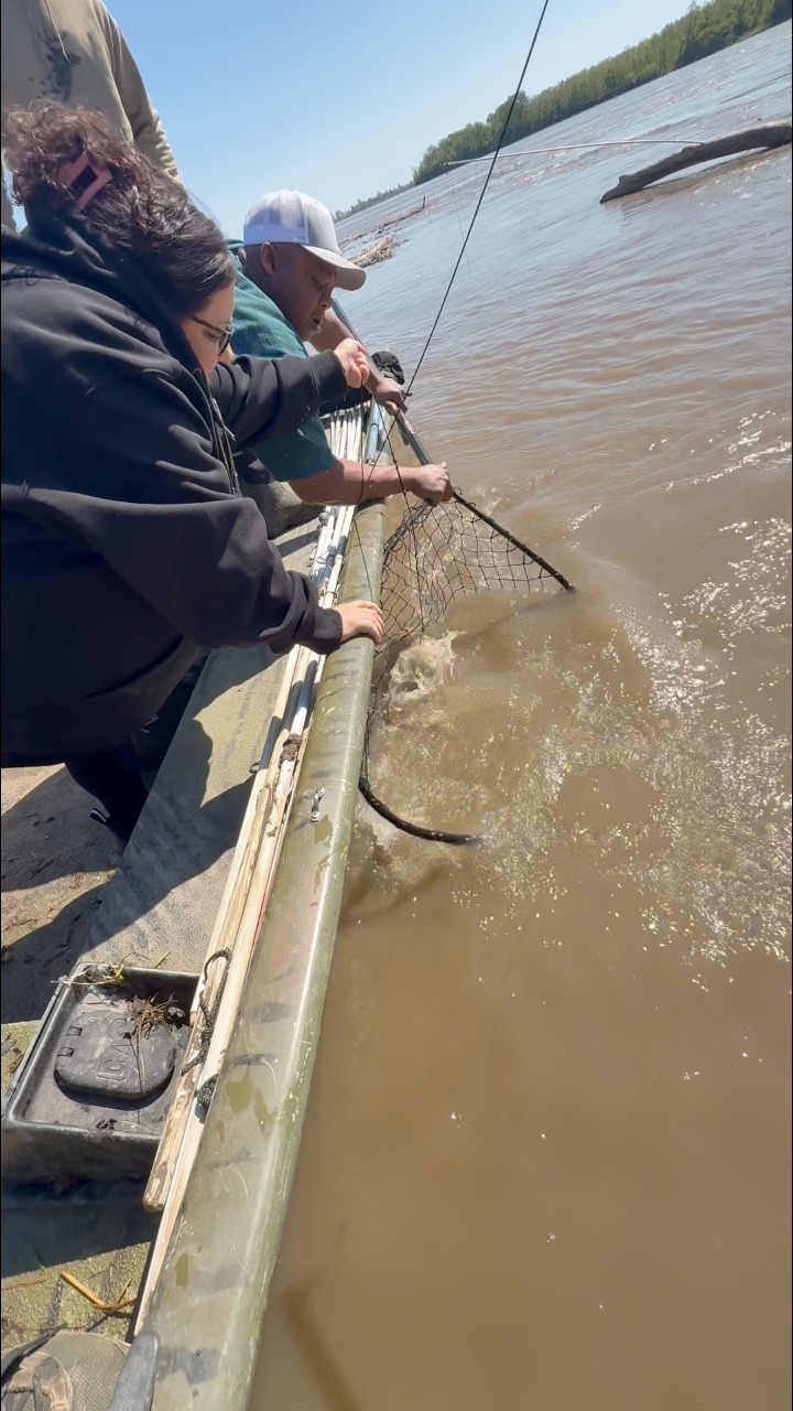 ditty pole fishing P-Ditty  Waters West Fly Outfitters Affordable Pre-Rigged Catfishing Bank Poles