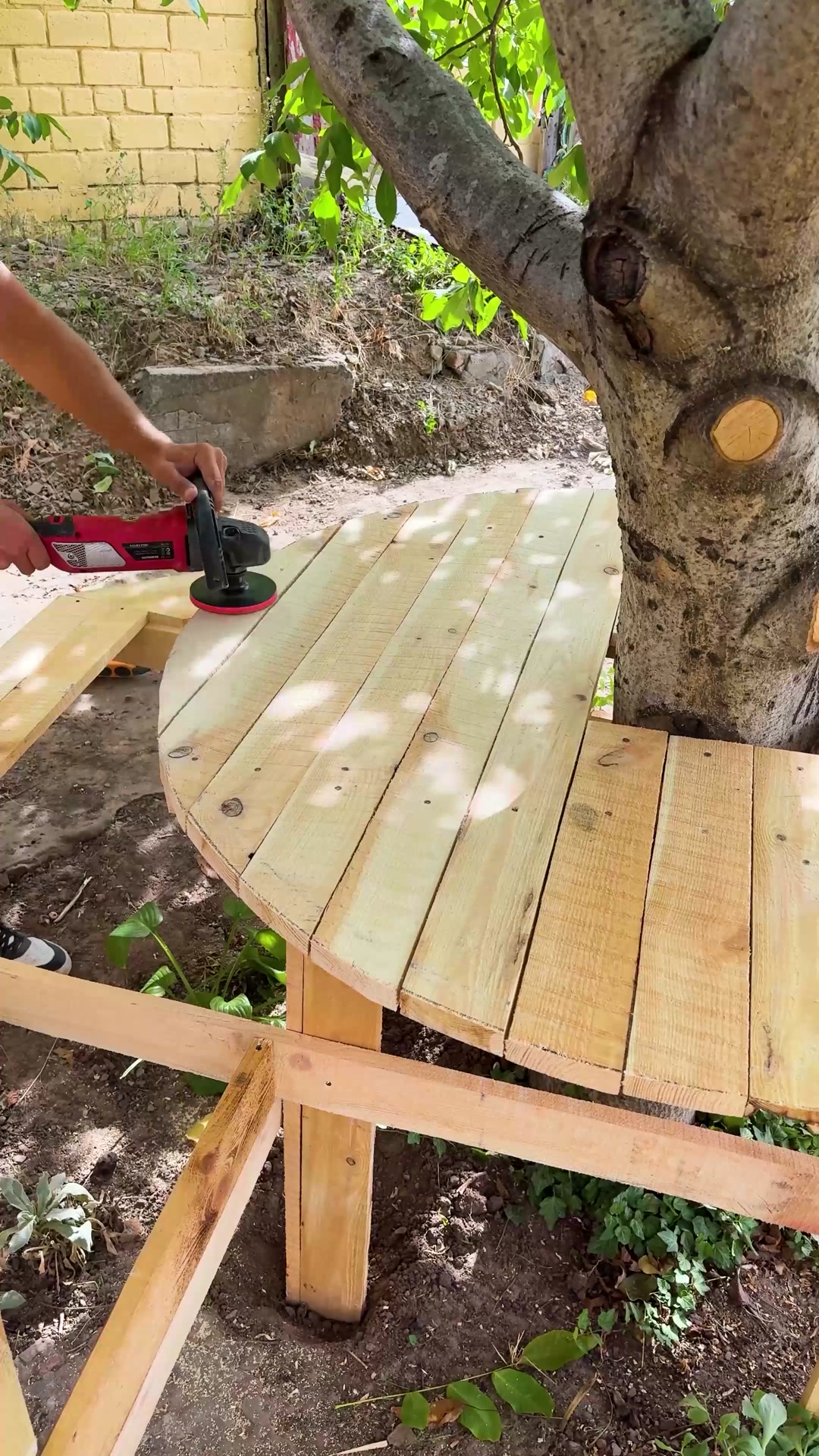 DIY Tree bench | Earth Wonders | Facebook