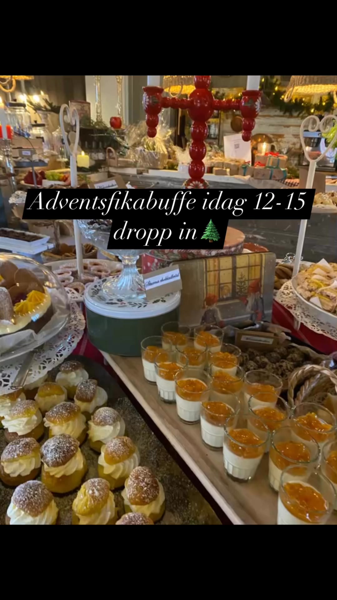 fjardhundraland-fjardhundraland-adventsbuffe-jylmys-julensfika