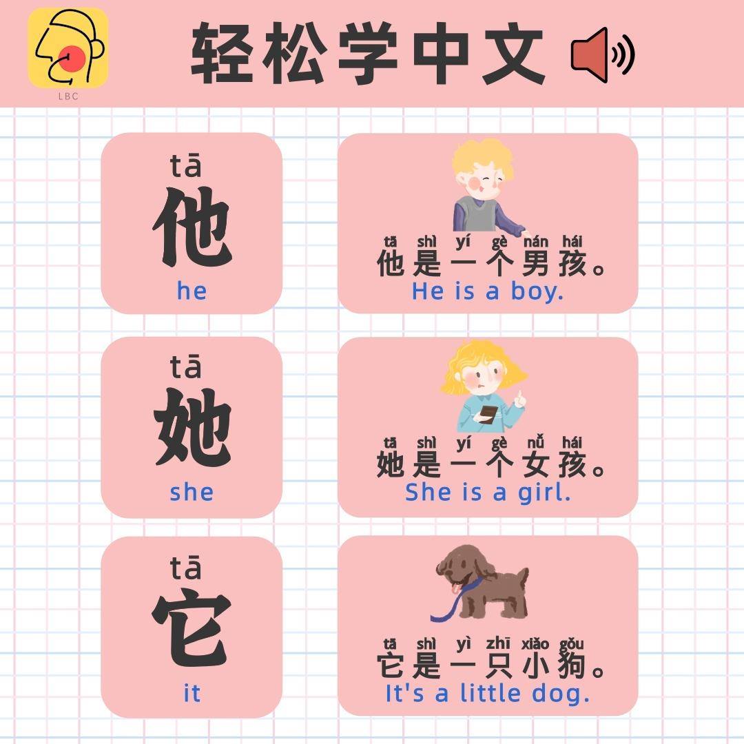 他 tā he 她 tā she 它 tā it 他是一个男孩。 tā shì yí gè nán hái 。 He is a boy. 她是 ...
