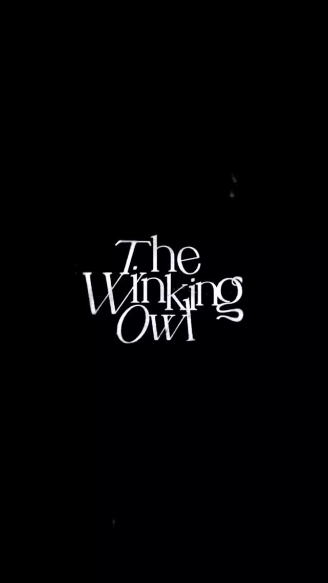 The Winking Owl (@thewinkingowl) • Facebook