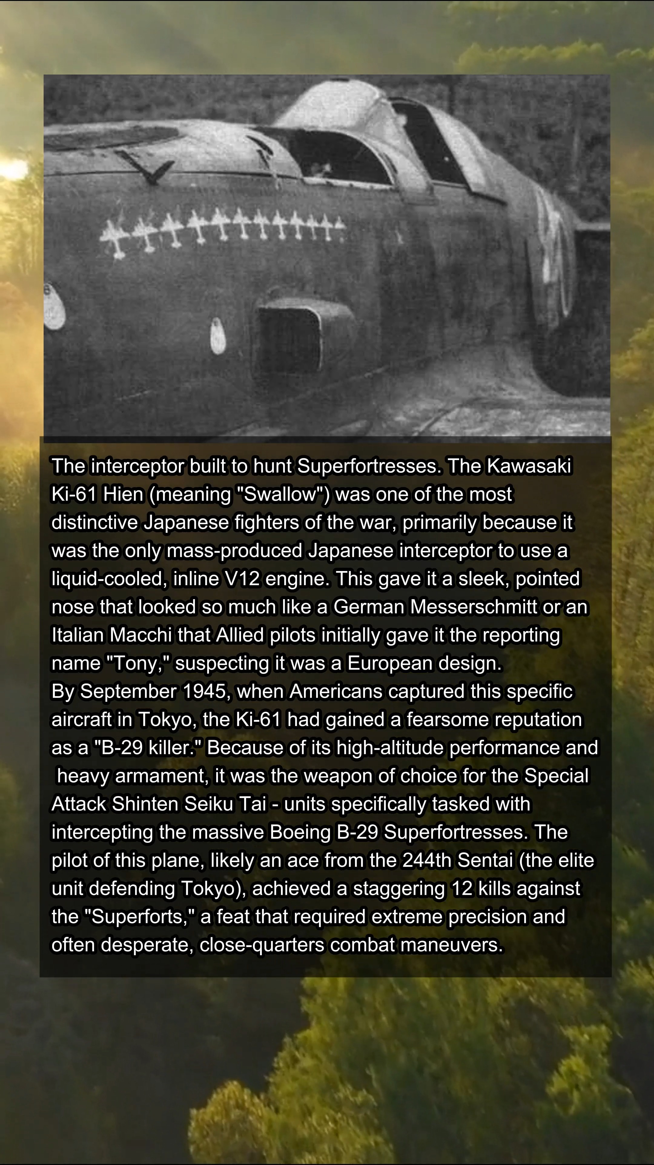 ACE Lt. Satoru Anabuki (39 kills) of the Imperial Japanese Army