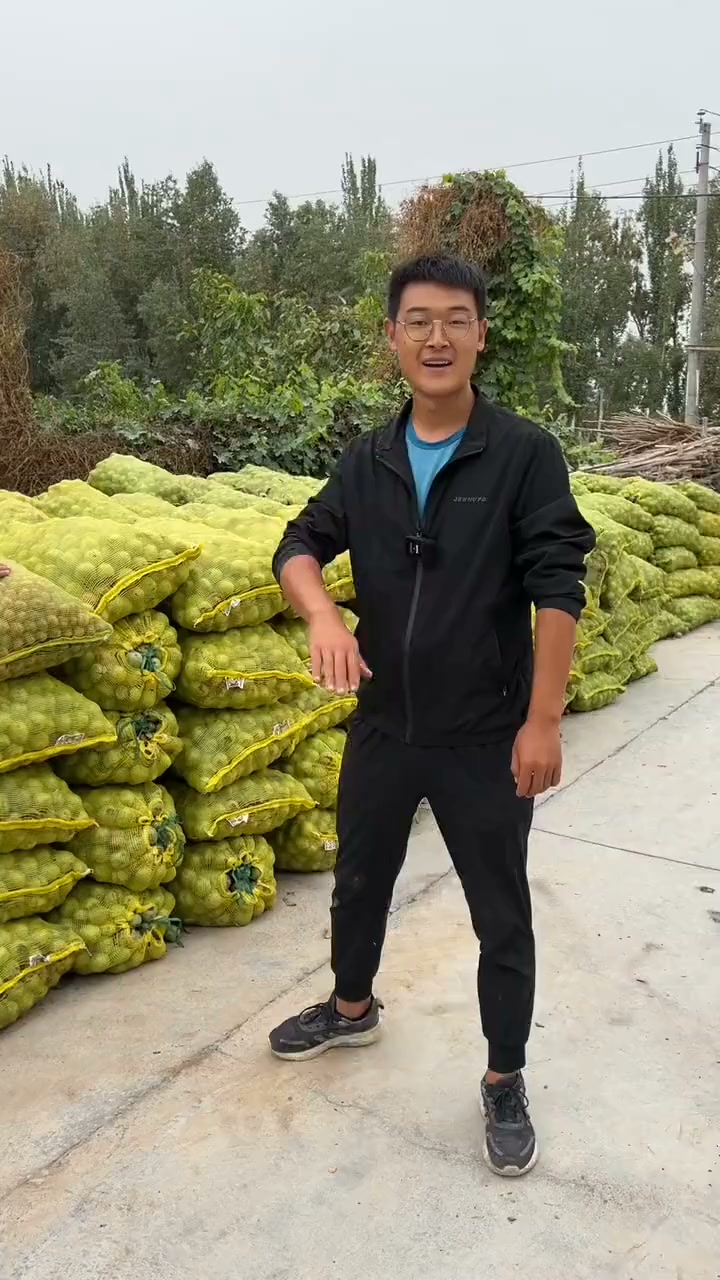 新疆185纸皮核桃#优质农产品#自家果园新疆特产185纸皮核桃| 福建黄玲