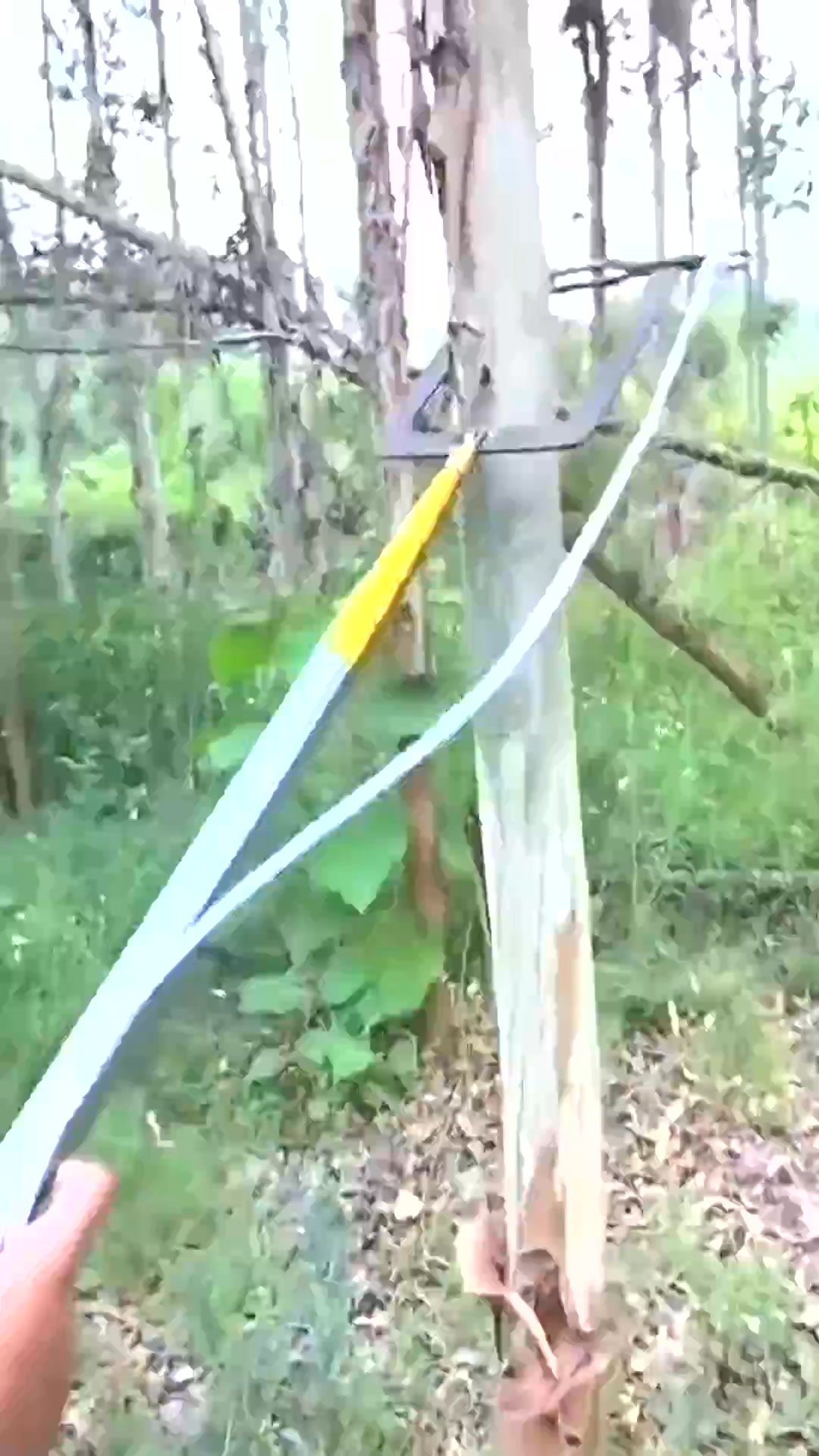 See How the Pros Skillfully Rig Ropes at Dizzying Heights! Handmade DIY ...