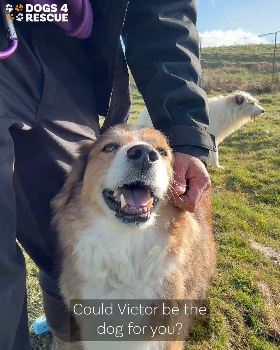 You made it happen for Bear who headed off on a home trial today, now ...