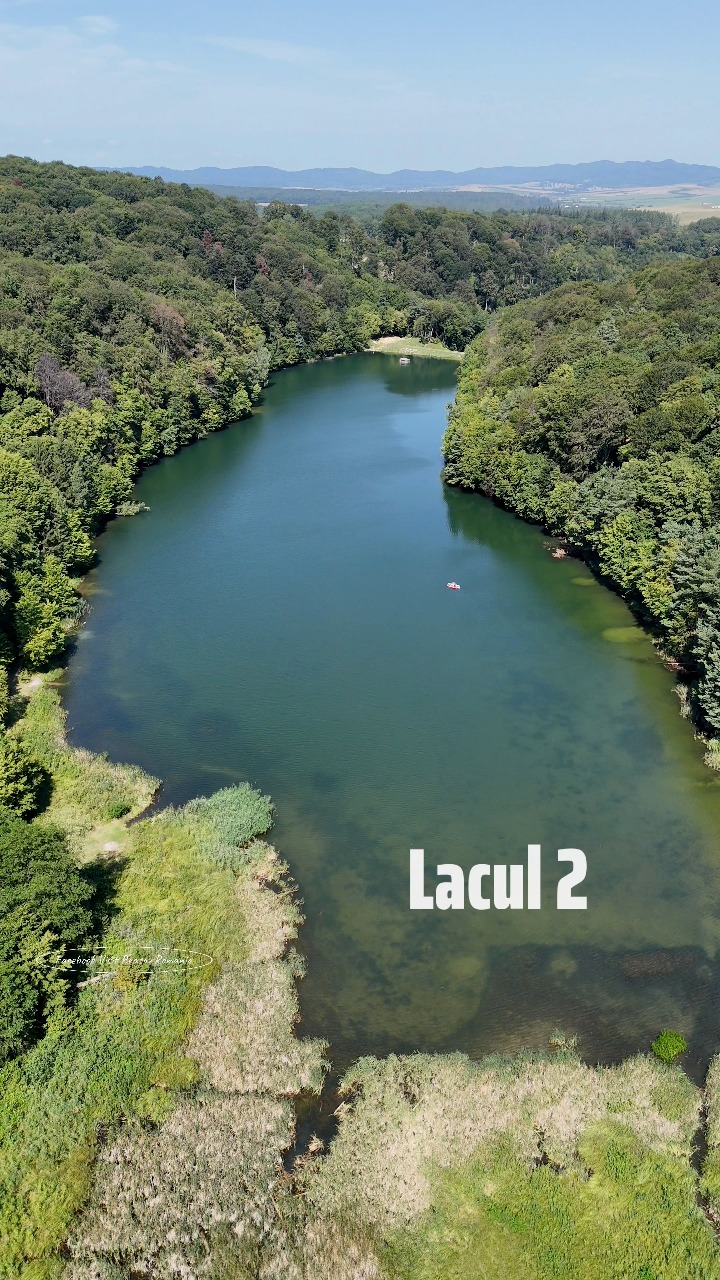Lacurile de la Codlea, un paradis natural care ar putea fi atracție ...