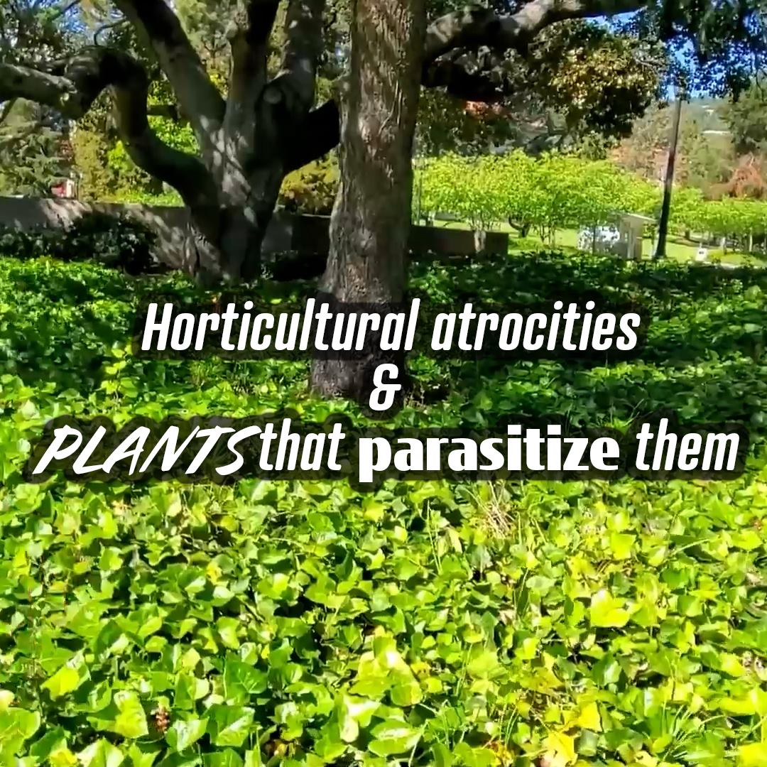 Crime Pays But Botany Doesn't - MOST WELCOME PARASITES 🌿