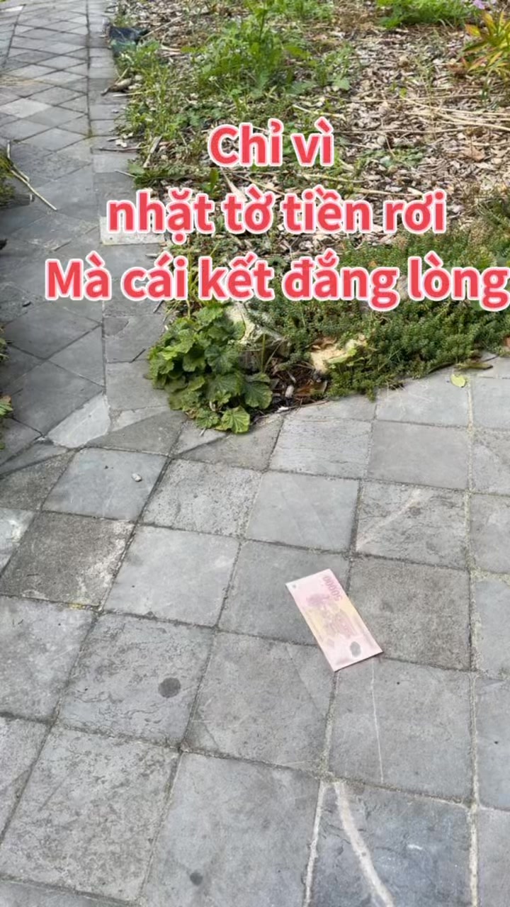 Chỉ vì nhặt tờ tiền rơi và cái kết đau lòng…. #nguoitheodoi | Hoa Hồng ...
