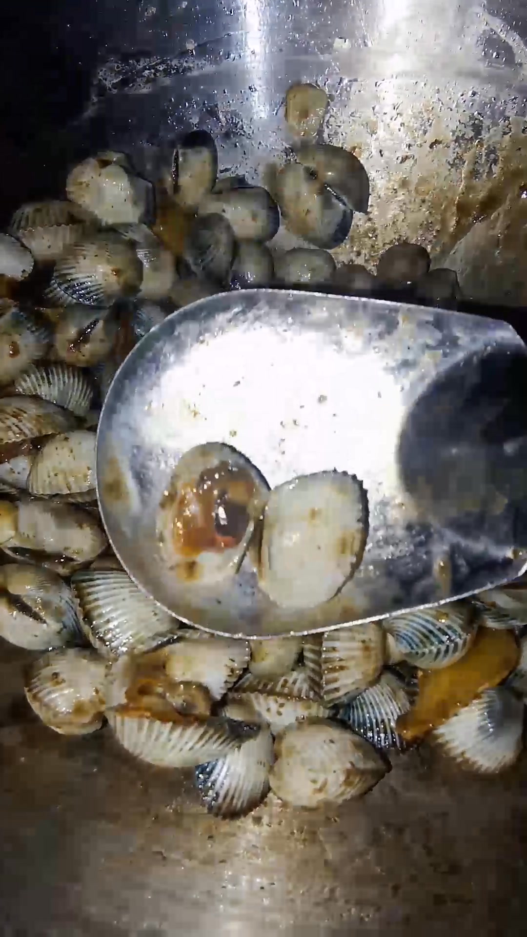 Ano kaya tawag sa sea shell na to Masarap daw to eh . # ...