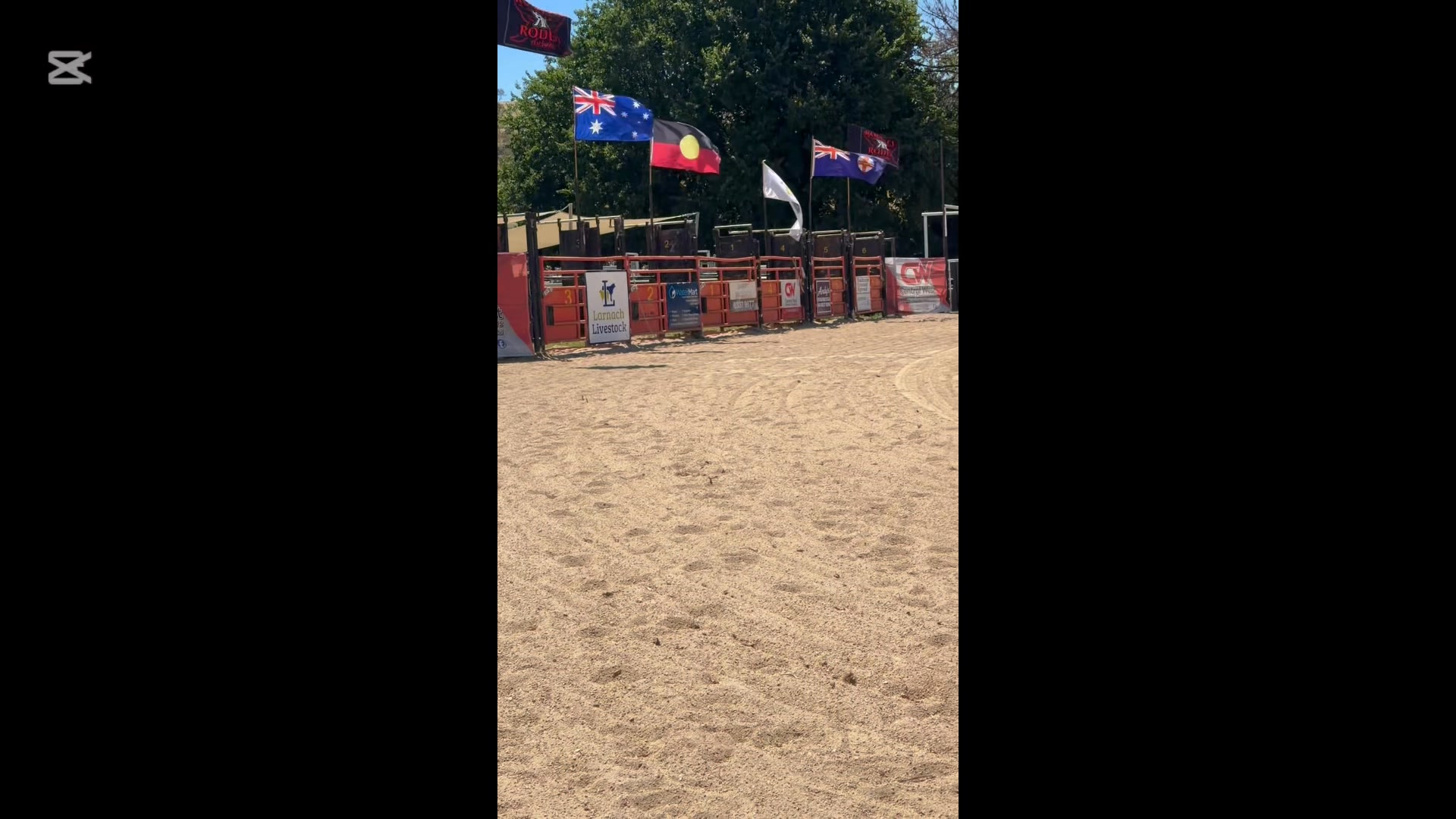🤠 Rockley Rodeo – We’re Ready! 🤠 The arena is prepped, the stock is ...