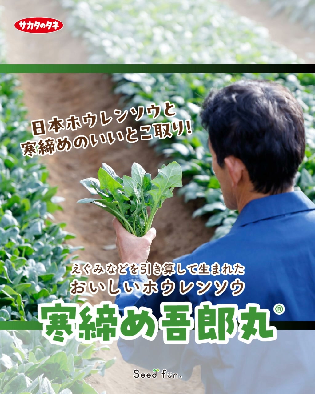 Seedfun. サカタのタネ