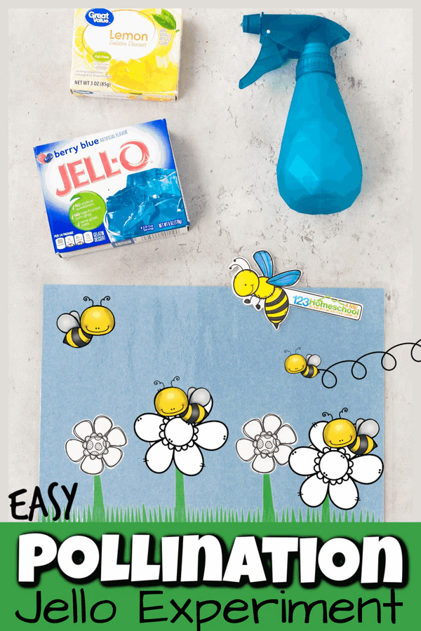 🐝 Simple Jello Bee Pollination Experiment for Kids https://www ...