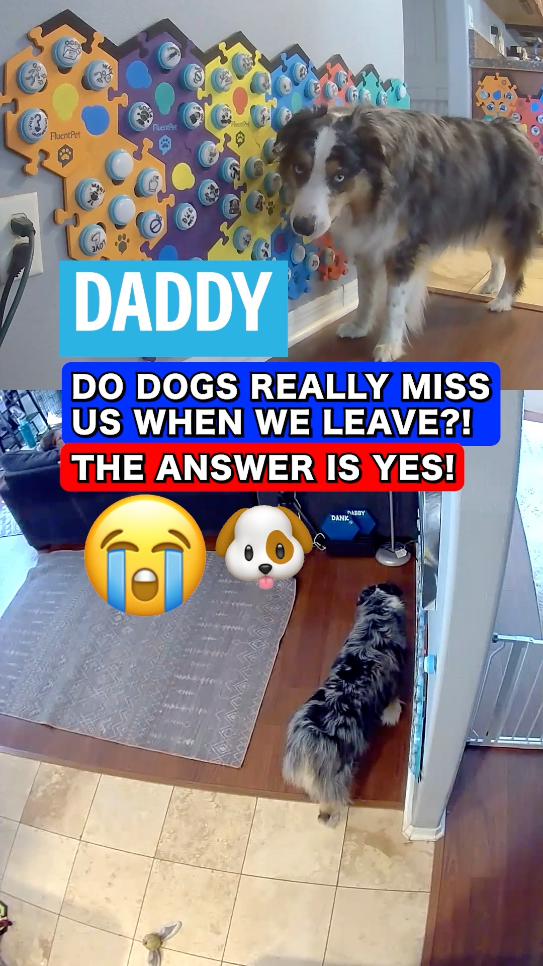 When dad took a day to check out the Global Pet Expo earlier this year ...