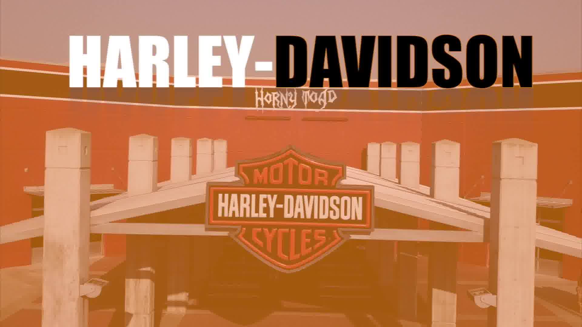 You come into Horny Toad Harley-Davidson and let IT tell YOU what 