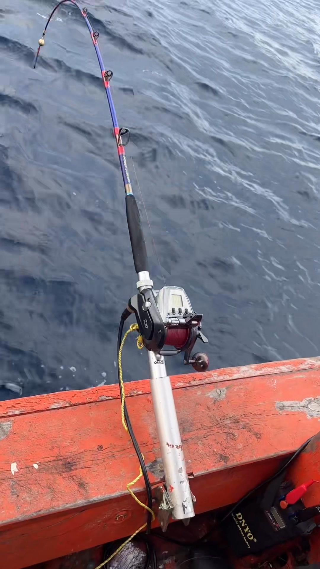 Seaborg 800J is not for 2kg fish No fight at all #nanajuetackle
