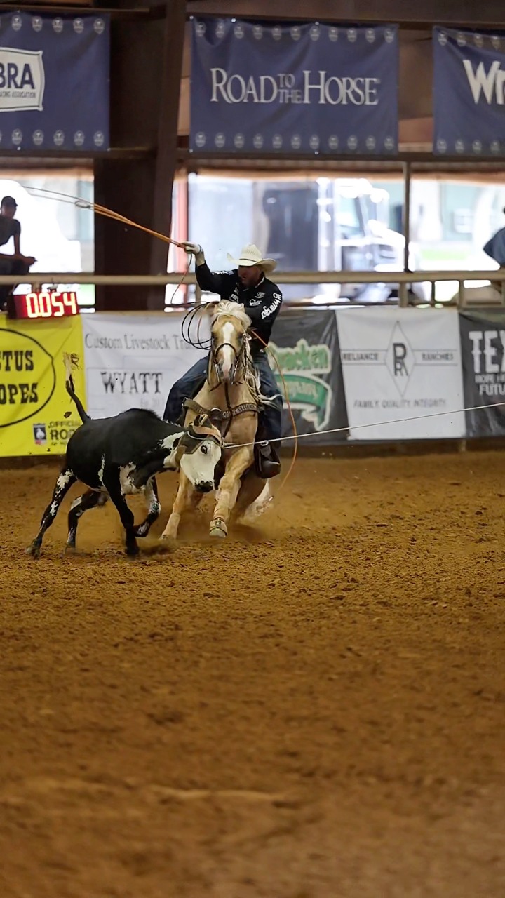 Joseph Harrison + Magnums Shinin Spark picked up the TX Best 4-&-Under ...