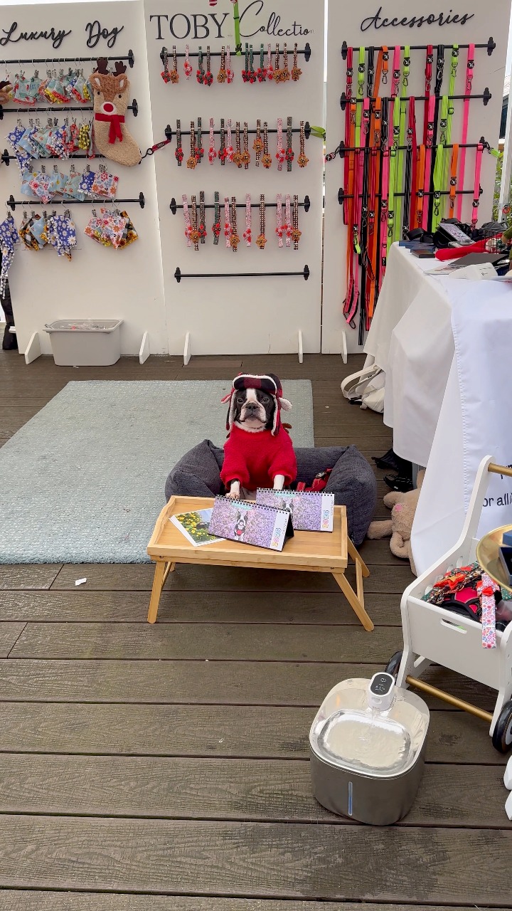 Toby has been working extra hard, doing... - Tobythegentleman | Facebook
