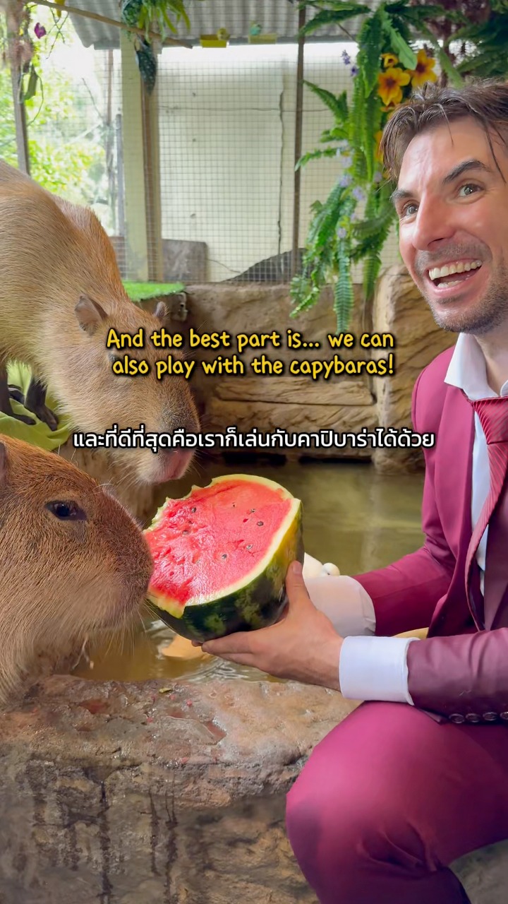 If you're coming to Koh Samui or Koh Phangan in Thailand, there's an ...