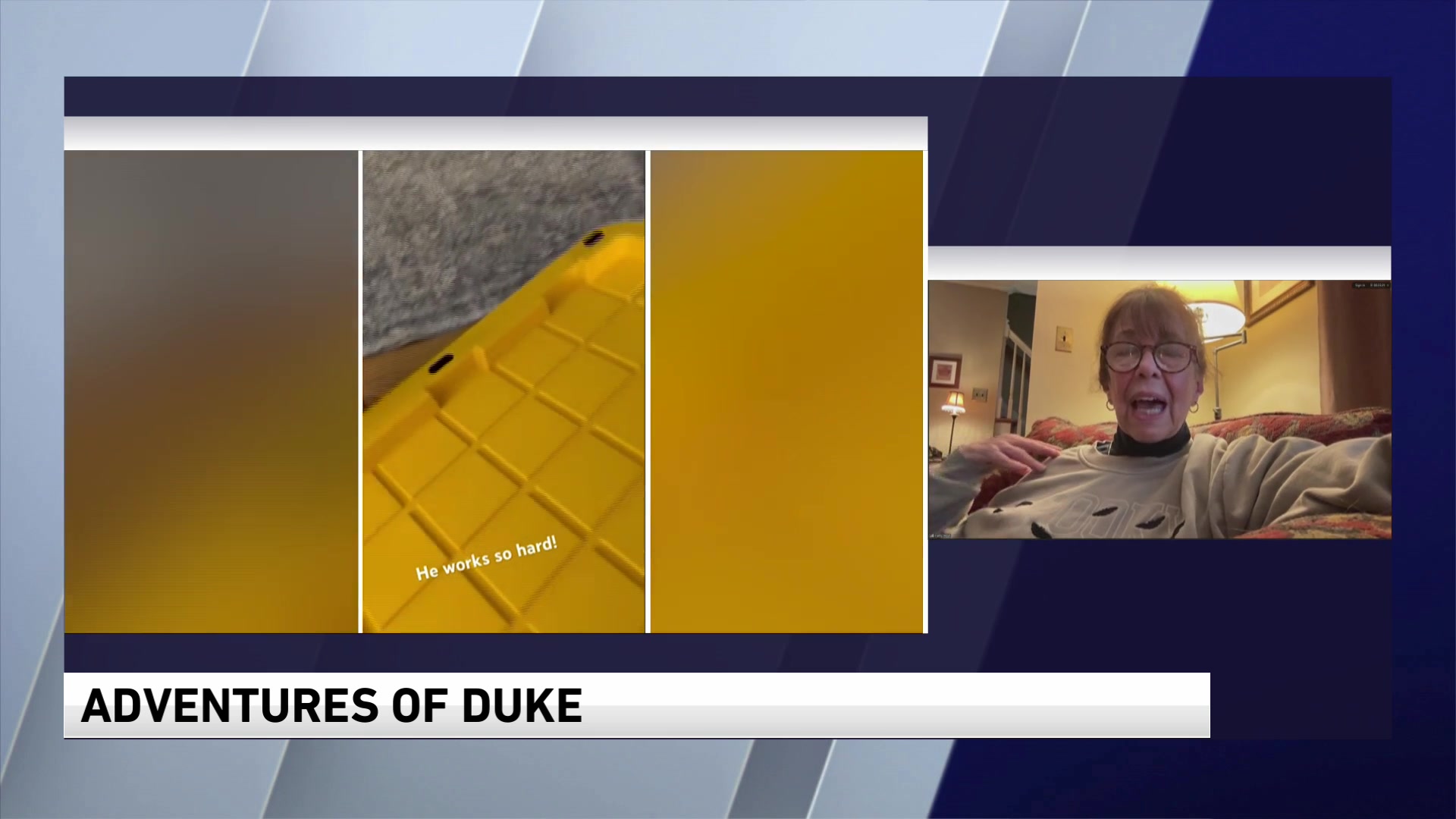 MUST WATCH! Meet Duke, the senior... - WGN Morning News | Facebook