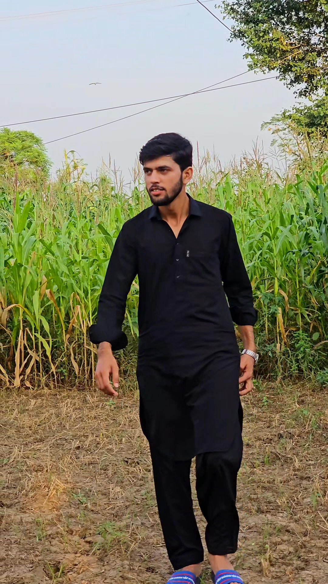 گاوں میں شام کے وقت کا منظر... ️ . . #videography #photography #Love # ...