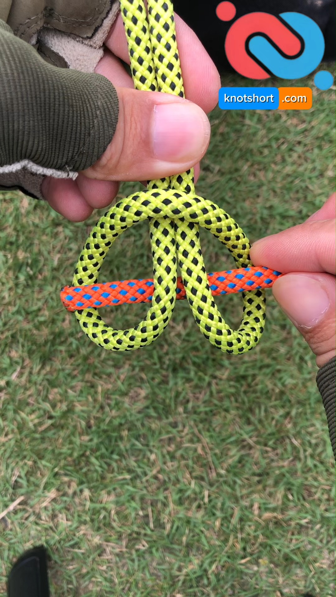 Quick Technique That Joins Two Ropes Easily #knotshortchannel | Knot ...