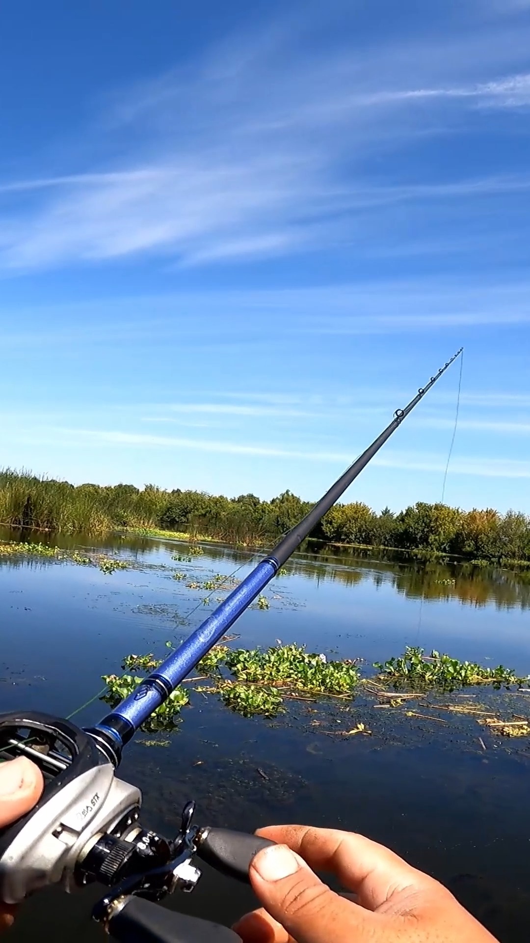 best fishing reel under 60 dollars Penn BTLIV8000 Battle IV Spinning Color::Gold Shiner and a robust metal Inner Diameter - 3/16 inch (0.1875