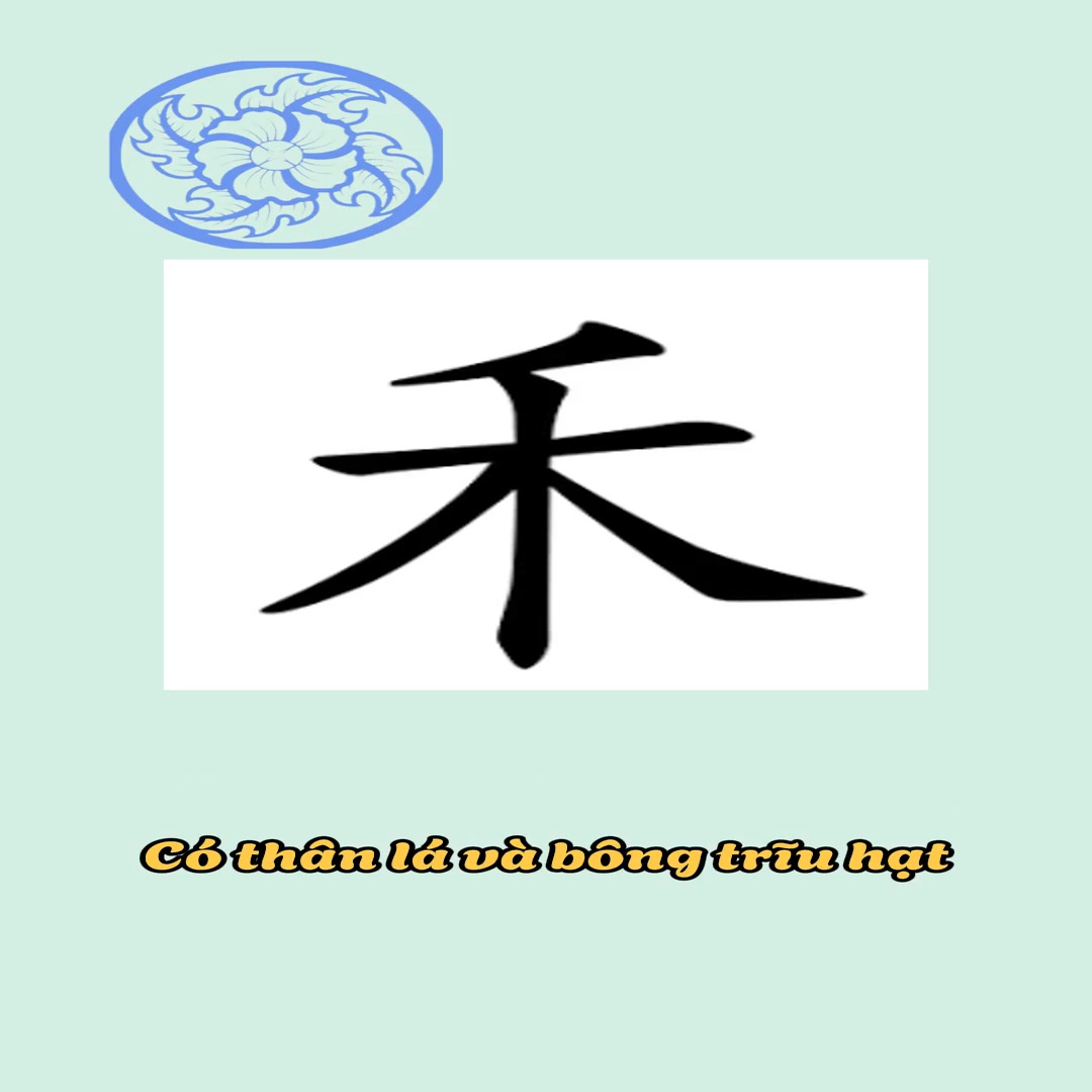 Giải Mã Bí Ẩn Chữ Hán: Học 1 Biết 10, Nhớ Lâu Không Tưởng! Bạn đang vật ...