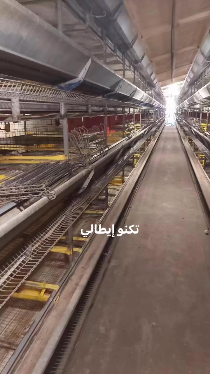 Sayed Samir on Reels