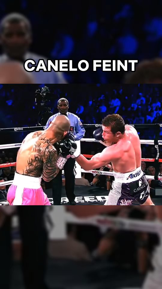 Iconic Boxing Feints 🥊 #boxing #training #fighter #martialarts #mma # ...
