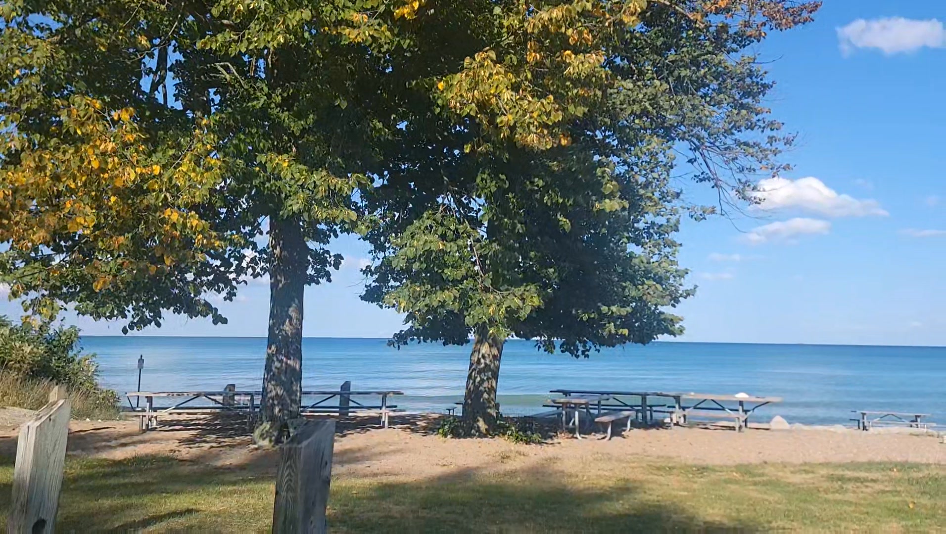 Wired Up Weekday Special Water Report | Evergreen Shore | Facebook