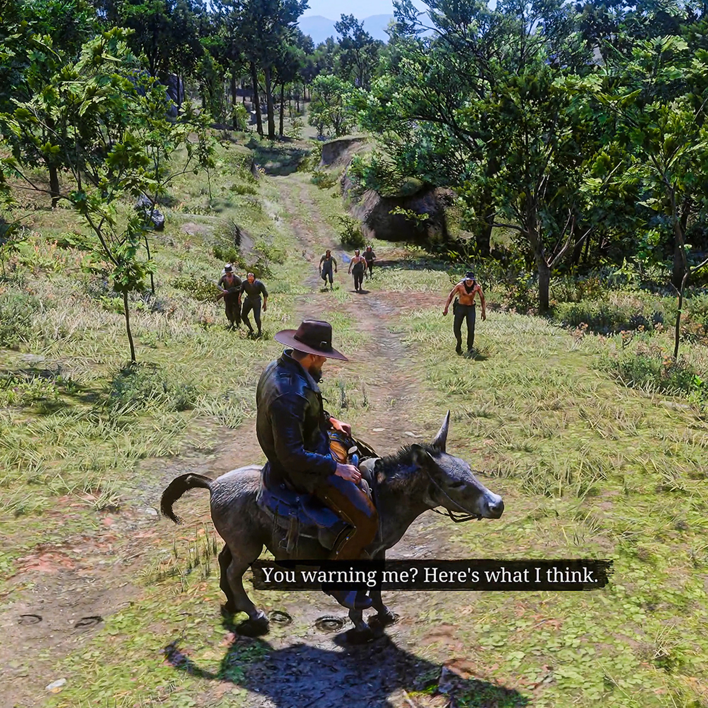 Rockstar actually never expected that I would try this with these npcs ...