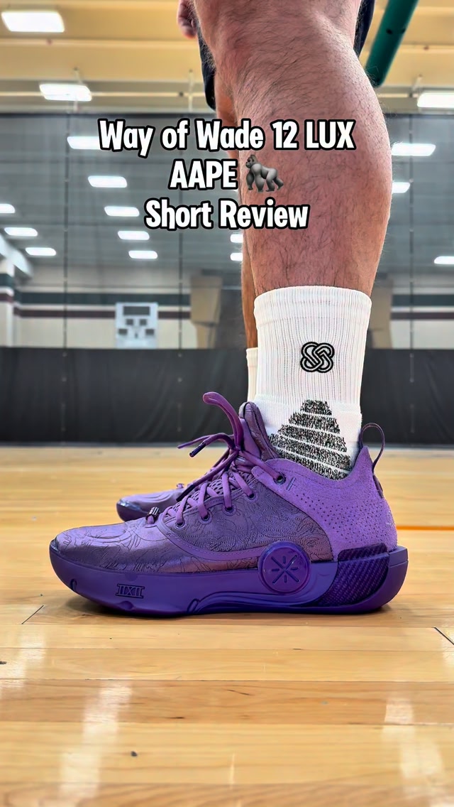 Way of Wade 12 LUX “AAPE” “He will be the sure foundation for your